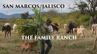 A Moment in Mexico-4k