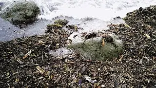 Охотское море (видео с моей старой камеры)