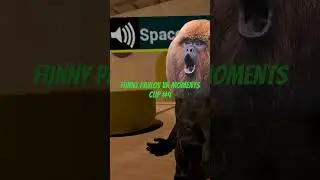 Funny Pavlov VR Moments - Clip - Gorilla Nades #4 #pavlovvr #vr #funny #funnyvrmoments