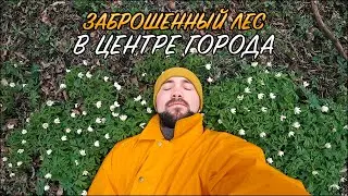 УКРАЛИ НАХОДКУ / НАШЛИ БОМЖ-УБЕЖИЩЕ / КОПАЕМ РЕКУ