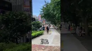 Taas ng Mga building sa hong kong 