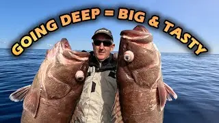 FISHING THE DEEP for tasty treats | Bar Cod, Snapper, Pearl Perch, Kingfish | Deep Dropping