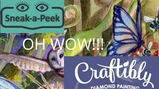 Craftibly Sneak Peek   OH WOW!!!!