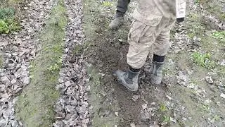 Мы грибы копаем, а вы как их собираете?