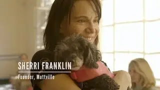 Adobe Slate: Promote a Cause