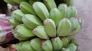 Saging na Saba 