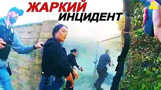 Не поделили наследство