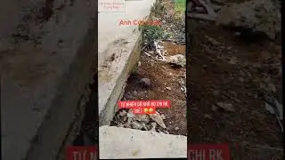 Có tất cả những Clip hay Triệu View TikTok Trung Quốc (P 359) #shorts #shortsvideo