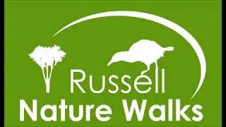 Kiwi Courtship