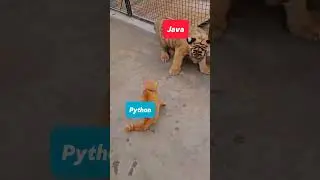 Java vs Python coding status🔥🔥#coding#code#java#css#js #html#codingstatus #status #shorts