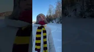 Мотоснегокат Игорыч-5. Видео от покупателя (2).