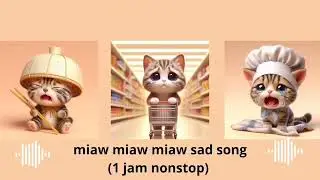 miaw miaw miaw sad song ( 1jam nonstop)