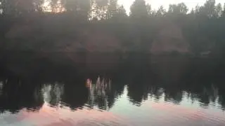 Yaroslavl oblast