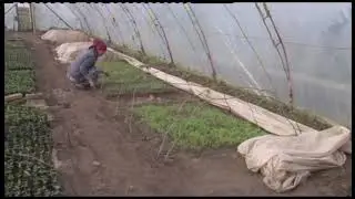 03 видео Низомиддин Исоев ТВ Сафина