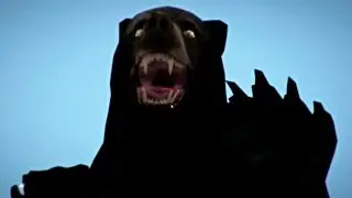 Нападение на медведя! — Long Dark 15