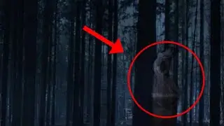 🔴 EXPLORE MISTERI POCONG HUTAN BAKAU..
