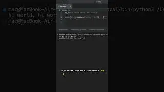 Replace в Python за 1 МИНУТУ! Python для начинающих. Как заменить текст в строке на другой текст