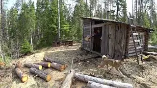 Здравствуй изба! Чего так испугались мои глаза? Таёжная распаковка.2 серия /Ремонт второй избы 2023/