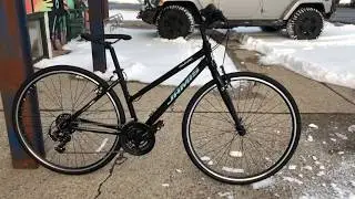Jamis 2019 Allegro Step thru
