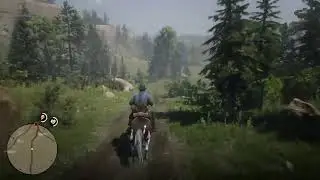 Red Dead redemption #4