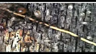 Тест usb микроскопа с али.