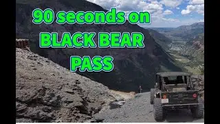 BlackBearYT