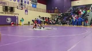 Cougar - TF gets pinned
