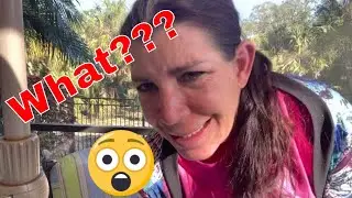 3rd Bag of Fall Thrift Haul 2022