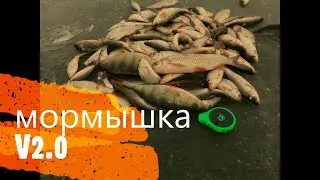 Раздача плотвы на мормышку по первому льду 2020-21. Зимняя рыбалка 2021