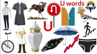 U Letter Words | Vocabulary Words With U | English Vocabular | Umbrella | Uranus | Uncle | Umpire