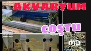 AKVARYUMLARI AYARLADIK
