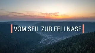 Hängeseilbrücken-Fail, Hund perfekt getroffen – Fotografie-Tipps im Wald!