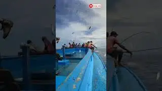 Easy Catching Fishes