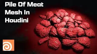 Pile Of Meat Mesh In Houdini
