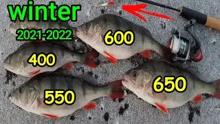 Я ИХ НАШЕЛ! Зимняя рыбалка 2021-2022. Ловля окуня на балансир. Winter fishing for perch.