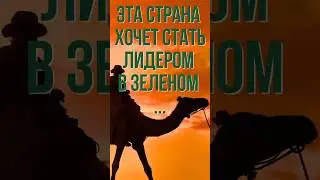 ЭТА СТРАНА ПЕРВОЙ ПЕРЕХОДИТ НА ЗЕЛЕНЫЙ ВОДОРОД. ЧТО ЭТО?