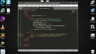 Integrare Google Translate in WebSite