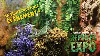 Vivez un moment mémorable à Reptiles EXPO