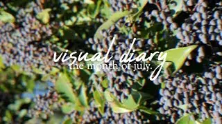 visual diary: the month of july