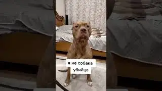 20 ноября 2023 г.