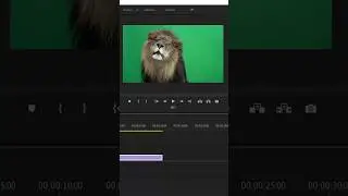 one click only 😳        #howtoremovegreenscreen #premierpro #editing #tutorial #tutorials