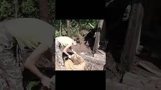 Хорошо смотреть, как другие работают)))