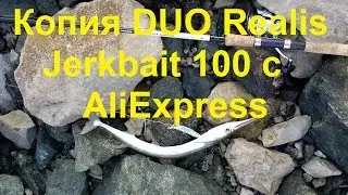 Копия DUO Realis Jerkbait 100 с АлиЭкспресс опыт морской рыбалки