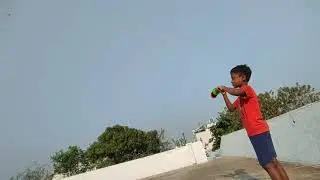 चील् 🦅 🆚 पतंग  🪁 