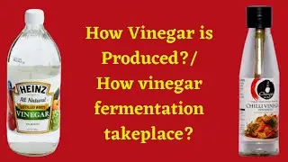 Vinegar Production Process/ How vinegar fermentation takeplace?