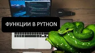 Функции в Python легко и с юмором | Урок 8 для начинающих 🐍