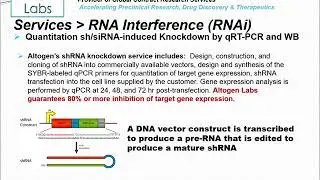 Altogen Labs RNAi Services