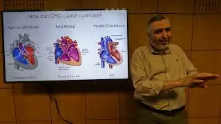 Pathophysiology of Cyanotic Congenital Heart Disease - Hatem Hosny