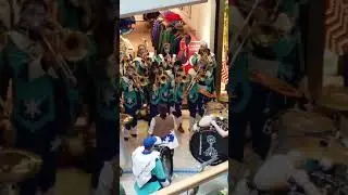 Висбаден карнавал