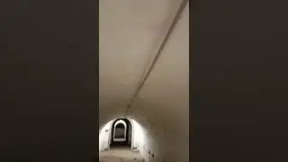 прогулка по дотам🤸